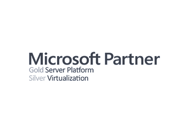 Microsoft Gold Server Platform Silver Virtualization